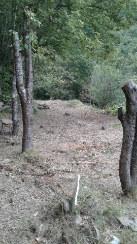 Malerisches Grundstück mit 2 kleinen Teichen in Ligurien
