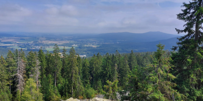 IMG-20250104-WA0015